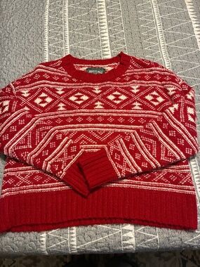 American Eagle sweater
